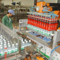 Lactic acid bacteria production line equipment
